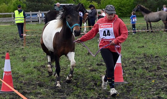 W niedzielę, 11 maja, w miejscowości Kanie-Stacja, w gminie Rejowiec Fabryczny, odbył się się III Konkurs i Pokaz Wszechstronnej Użytkowości Koni.