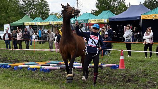 W niedzielę, 11 maja, w miejscowości Kanie-Stacja, w gminie Rejowiec Fabryczny, odbył się się III Konkurs i Pokaz Wszechstronnej Użytkowości Koni. W niedzielę, 11 maja, w miejscowości Kanie-Stacja, w gminie Rejowiec Fabryczny, odbył się się III Konkurs i Pokaz Wszechstronnej Użytkowości Koni.
