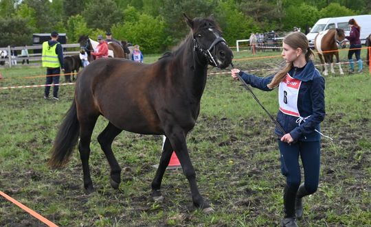 W niedzielę, 11 maja, w miejscowości Kanie-Stacja, w gminie Rejowiec Fabryczny, odbył się się III Konkurs i Pokaz Wszechstronnej Użytkowości Koni.