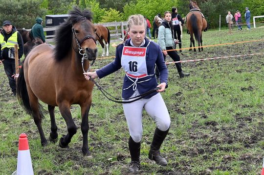 W niedzielę, 11 maja, w miejscowości Kanie-Stacja, w gminie Rejowiec Fabryczny, odbył się się III Konkurs i Pokaz Wszechstronnej Użytkowości Koni. W niedzielę, 11 maja, w miejscowości Kanie-Stacja, w gminie Rejowiec Fabryczny, odbył się się III Konkurs i Pokaz Wszechstronnej Użytkowości Koni.