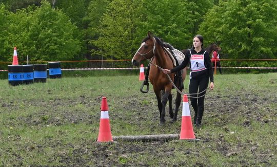 W niedzielę, 11 maja, w miejscowości Kanie-Stacja, w gminie Rejowiec Fabryczny, odbył się się III Konkurs i Pokaz Wszechstronnej Użytkowości Koni. W niedzielę, 11 maja, w miejscowości Kanie-Stacja, w gminie Rejowiec Fabryczny, odbył się się III Konkurs i Pokaz Wszechstronnej Użytkowości Koni.