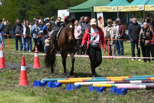 W niedzielę, 11 maja, w miejscowości Kanie-Stacja, w gminie Rejowiec Fabryczny, odbył się się III Konkurs i Pokaz Wszechstronnej Użytkowości Koni.