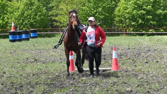 W niedzielę, 11 maja, w miejscowości Kanie-Stacja, w gminie Rejowiec Fabryczny, odbył się się III Konkurs i Pokaz Wszechstronnej Użytkowości Koni. W niedzielę, 11 maja, w miejscowości Kanie-Stacja, w gminie Rejowiec Fabryczny, odbył się się III Konkurs i Pokaz Wszechstronnej Użytkowości Koni.