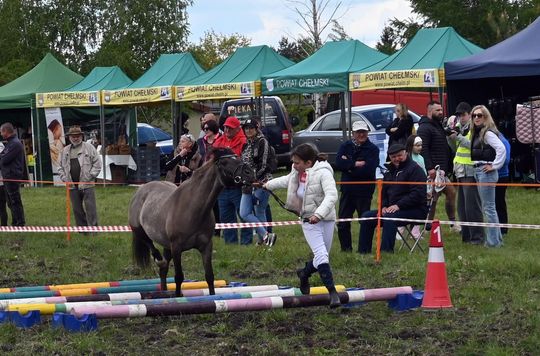W niedzielę, 11 maja, w miejscowości Kanie-Stacja, w gminie Rejowiec Fabryczny, odbył się się III Konkurs i Pokaz Wszechstronnej Użytkowości Koni. W niedzielę, 11 maja, w miejscowości Kanie-Stacja, w gminie Rejowiec Fabryczny, odbył się się III Konkurs i Pokaz Wszechstronnej Użytkowości Koni.
