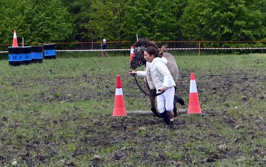 W niedzielę, 11 maja, w miejscowości Kanie-Stacja, w gminie Rejowiec Fabryczny, odbył się się III Konkurs i Pokaz Wszechstronnej Użytkowości Koni. W niedzielę, 11 maja, w miejscowości Kanie-Stacja, w gminie Rejowiec Fabryczny, odbył się się III Konkurs i Pokaz Wszechstronnej Użytkowości Koni.
