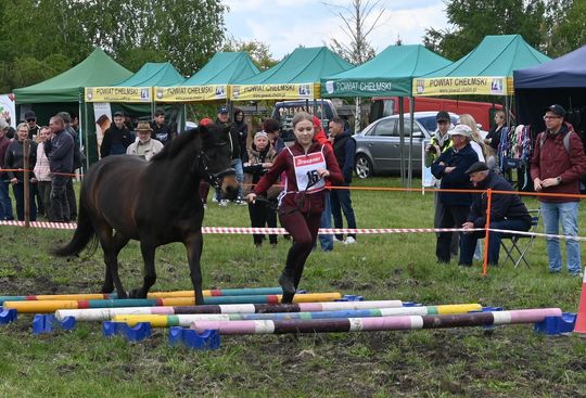 W niedzielę, 11 maja, w miejscowości Kanie-Stacja, w gminie Rejowiec Fabryczny, odbył się się III Konkurs i Pokaz Wszechstronnej Użytkowości Koni.
