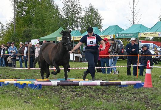 W niedzielę, 11 maja, w miejscowości Kanie-Stacja, w gminie Rejowiec Fabryczny, odbył się się III Konkurs i Pokaz Wszechstronnej Użytkowości Koni. W niedzielę, 11 maja, w miejscowości Kanie-Stacja, w gminie Rejowiec Fabryczny, odbył się się III Konkurs i Pokaz Wszechstronnej Użytkowości Koni.