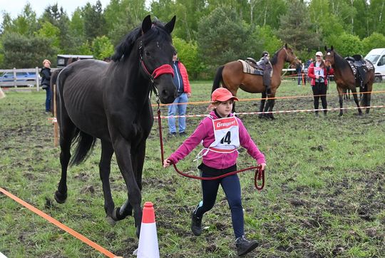 W niedzielę, 11 maja, w miejscowości Kanie-Stacja, w gminie Rejowiec Fabryczny, odbył się się III Konkurs i Pokaz Wszechstronnej Użytkowości Koni.