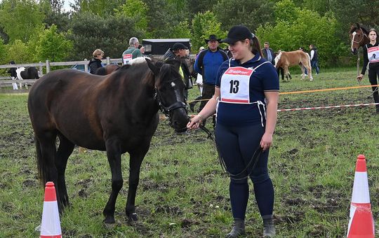 W niedzielę, 11 maja, w miejscowości Kanie-Stacja, w gminie Rejowiec Fabryczny, odbył się się III Konkurs i Pokaz Wszechstronnej Użytkowości Koni.