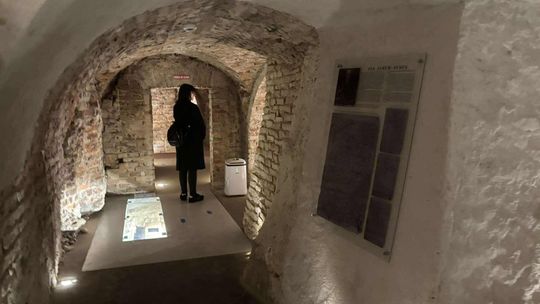 Noc Muzeów w Chełmie. Wystawy, zwiedzanie krypt pod bazyliką i wiele innych atrakcji [GALERIA ZDJĘĆ]