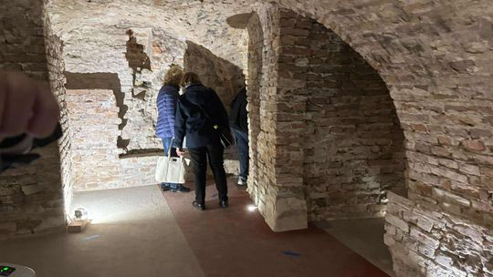 Noc Muzeów w Chełmie. Wystawy, zwiedzanie krypt pod bazyliką i wiele innych atrakcji [GALERIA ZDJĘĆ]