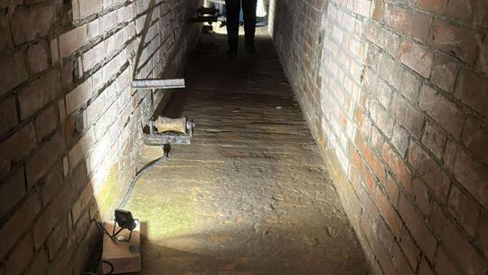 Noc Muzeów w Chełmie. Wystawy, zwiedzanie krypt pod bazyliką i wiele innych atrakcji [GALERIA ZDJĘĆ]