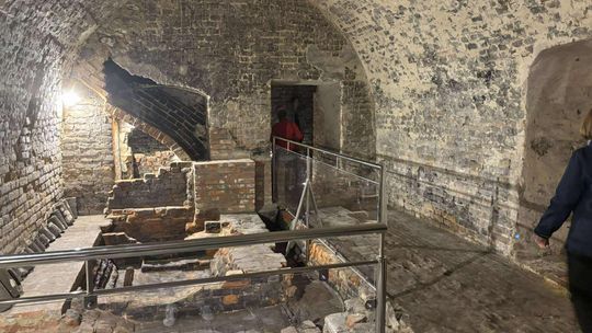 Noc Muzeów w Chełmie. Wystawy, zwiedzanie krypt pod bazyliką i wiele innych atrakcji [GALERIA ZDJĘĆ]