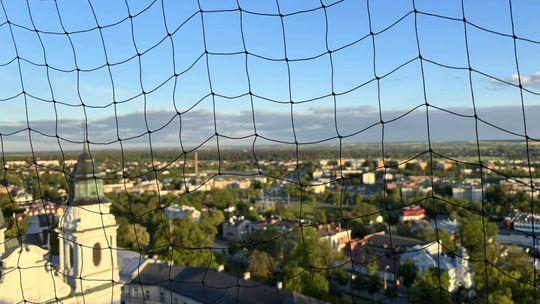 Noc Muzeów w Chełmie. Wystawy, zwiedzanie krypt pod bazyliką i wiele innych atrakcji [GALERIA ZDJĘĆ]