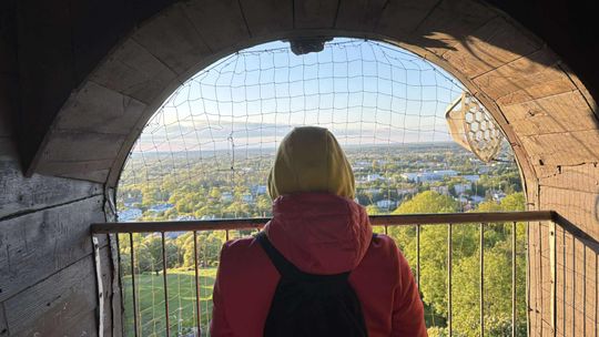 Noc Muzeów w Chełmie. Wystawy, zwiedzanie krypt pod bazyliką i wiele innych atrakcji [GALERIA ZDJĘĆ]