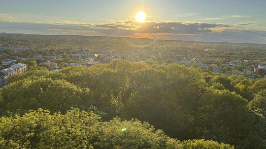Noc Muzeów w Chełmie. Wystawy, zwiedzanie krypt pod bazyliką i wiele innych atrakcji [GALERIA ZDJĘĆ]