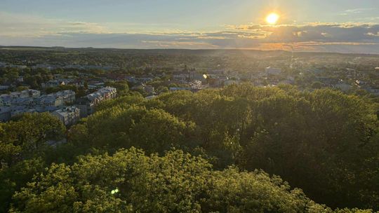Noc Muzeów w Chełmie. Wystawy, zwiedzanie krypt pod bazyliką i wiele innych atrakcji [GALERIA ZDJĘĆ]