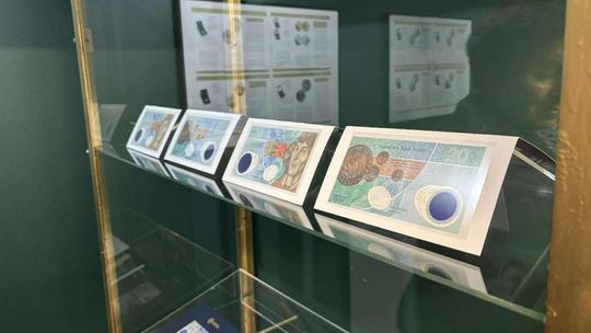 Noc Muzeów w Chełmie. Wystawy, zwiedzanie krypt pod bazyliką i wiele innych atrakcji [GALERIA ZDJĘĆ]