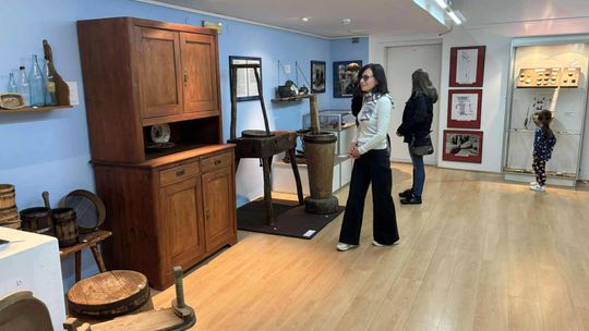 Noc Muzeów w Chełmie. Wystawy, zwiedzanie krypt pod bazyliką i wiele innych atrakcji [GALERIA ZDJĘĆ]