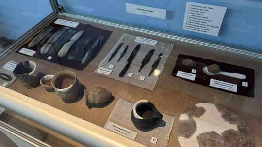 Noc Muzeów w Chełmie. Wystawy, zwiedzanie krypt pod bazyliką i wiele innych atrakcji [GALERIA ZDJĘĆ]