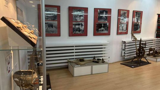 Noc Muzeów w Chełmie. Wystawy, zwiedzanie krypt pod bazyliką i wiele innych atrakcji [GALERIA ZDJĘĆ]