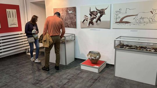 Noc Muzeów w Chełmie. Wystawy, zwiedzanie krypt pod bazyliką i wiele innych atrakcji [GALERIA ZDJĘĆ]