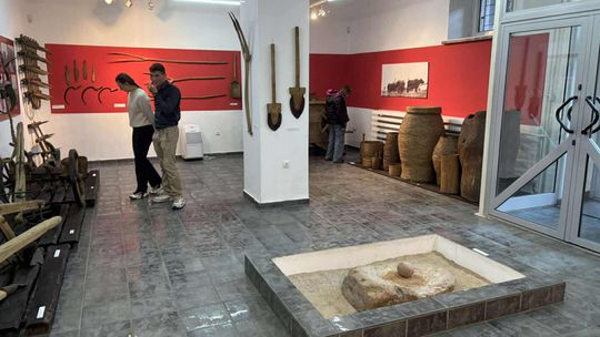 Noc Muzeów w Chełmie. Wystawy, zwiedzanie krypt pod bazyliką i wiele innych atrakcji [GALERIA ZDJĘĆ]