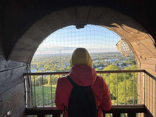 Noc Muzeów w Chełmie. Wystawy, zwiedzanie krypt pod bazyliką i wiele innych atrakcji [GALERIA ZDJĘĆ]