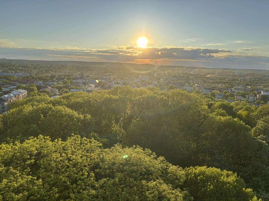 Noc Muzeów w Chełmie. Wystawy, zwiedzanie krypt pod bazyliką i wiele innych atrakcji [GALERIA ZDJĘĆ]