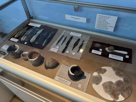 Noc Muzeów w Chełmie. Wystawy, zwiedzanie krypt pod bazyliką i wiele innych atrakcji [GALERIA ZDJĘĆ]