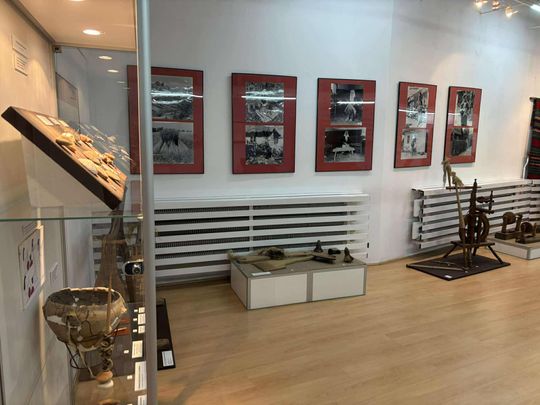 Noc Muzeów w Chełmie. Wystawy, zwiedzanie krypt pod bazyliką i wiele innych atrakcji [GALERIA ZDJĘĆ]