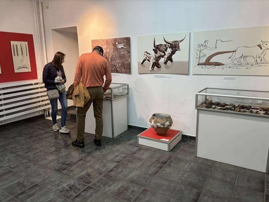 Noc Muzeów w Chełmie. Wystawy, zwiedzanie krypt pod bazyliką i wiele innych atrakcji [GALERIA ZDJĘĆ]