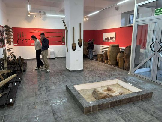 Noc Muzeów w Chełmie. Wystawy, zwiedzanie krypt pod bazyliką i wiele innych atrakcji [GALERIA ZDJĘĆ]