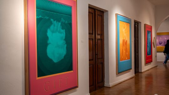 Noc Muzeów w Chełmie. Wystawy, zwiedzanie krypt pod bazyliką i wiele innych atrakcji [GALERIA ZDJĘĆ]