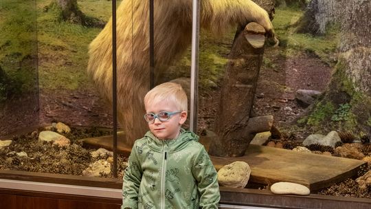 Noc Muzeów w Chełmie. Wystawy, zwiedzanie krypt pod bazyliką i wiele innych atrakcji [GALERIA ZDJĘĆ]