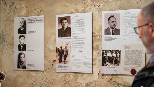 Noc Muzeów w Chełmie. Wystawy, zwiedzanie krypt pod bazyliką i wiele innych atrakcji [GALERIA ZDJĘĆ]