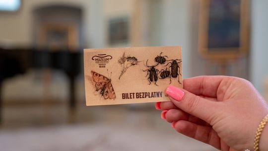 Noc Muzeów w Chełmie. Wystawy, zwiedzanie krypt pod bazyliką i wiele innych atrakcji [GALERIA ZDJĘĆ]