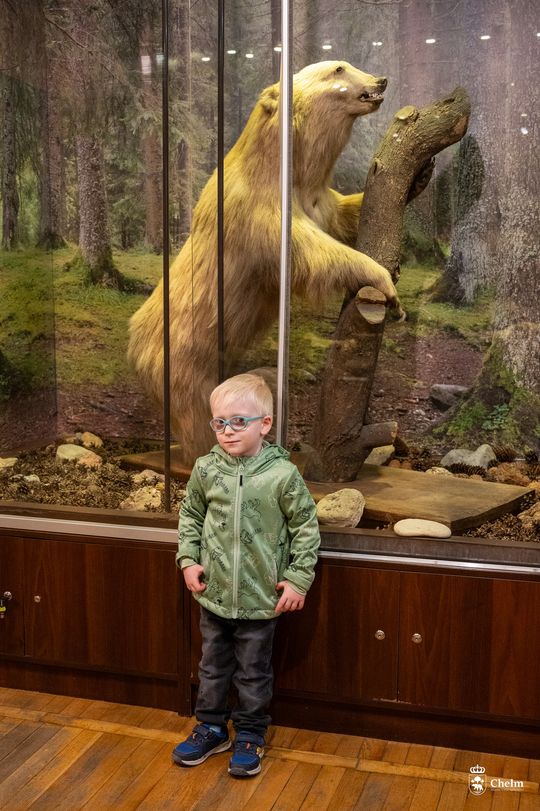 Noc Muzeów w Chełmie. Wystawy, zwiedzanie krypt pod bazyliką i wiele innych atrakcji [GALERIA ZDJĘĆ]