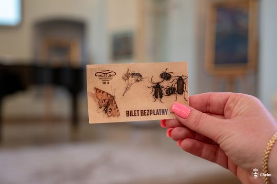 Noc Muzeów w Chełmie. Wystawy, zwiedzanie krypt pod bazyliką i wiele innych atrakcji [GALERIA ZDJĘĆ]