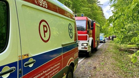 Samochód roztrzaskany. Kierowca trafił do szpitala [ZDJĘCIA]