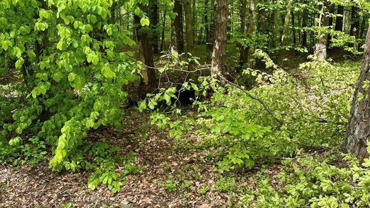 Samochód roztrzaskany. Kierowca trafił do szpitala [ZDJĘCIA]