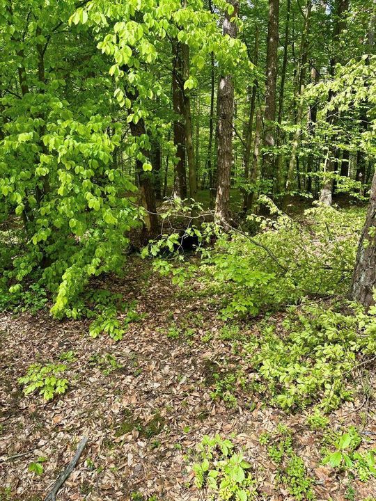 Samochód roztrzaskany. Kierowca trafił do szpitala [ZDJĘCIA]