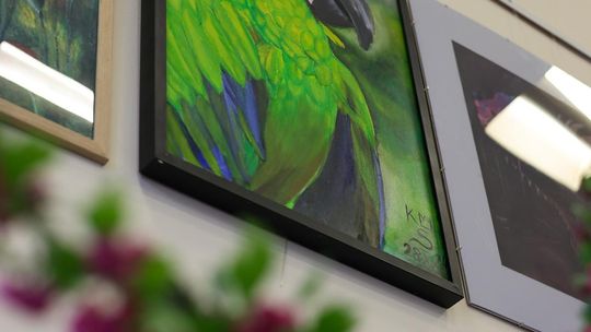 Plenerowe Reminiscencje – wystawa grupy artystycznej Alternatywa w Chełmskim Domu Kultury [GALERIA ZDJĘĆ]