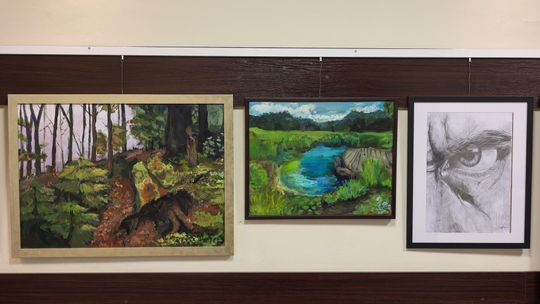 Plenerowe Reminiscencje – wystawa grupy artystycznej Alternatywa w Chełmskim Domu Kultury [GALERIA ZDJĘĆ]