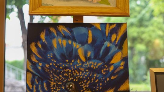 Plenerowe Reminiscencje – wystawa grupy artystycznej Alternatywa w Chełmskim Domu Kultury [GALERIA ZDJĘĆ]