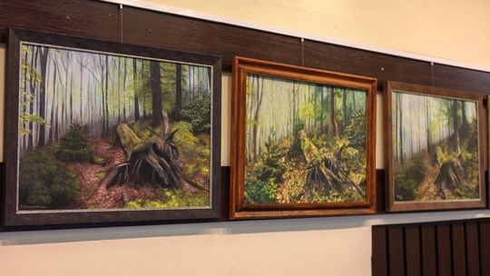 Plenerowe Reminiscencje – wystawa grupy artystycznej Alternatywa w Chełmskim Domu Kultury [GALERIA ZDJĘĆ]