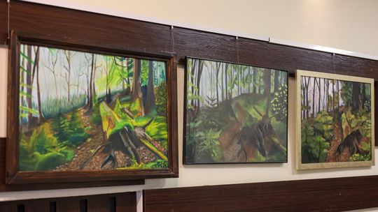 Plenerowe Reminiscencje – wystawa grupy artystycznej Alternatywa w Chełmskim Domu Kultury [GALERIA ZDJĘĆ]