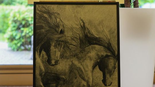 Plenerowe Reminiscencje – wystawa grupy artystycznej Alternatywa w Chełmskim Domu Kultury [GALERIA ZDJĘĆ]