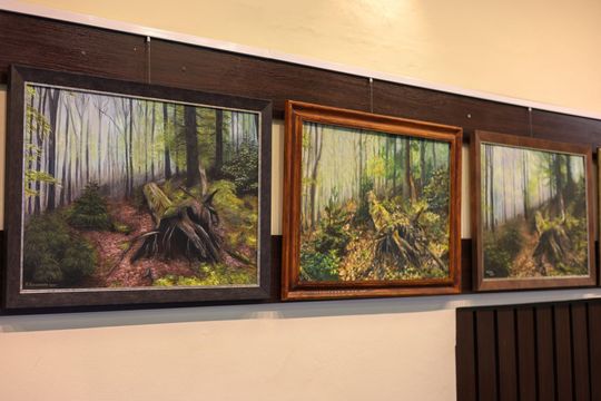 Plenerowe Reminiscencje – wystawa grupy artystycznej Alternatywa w Chełmskim Domu Kultury [GALERIA ZDJĘĆ]