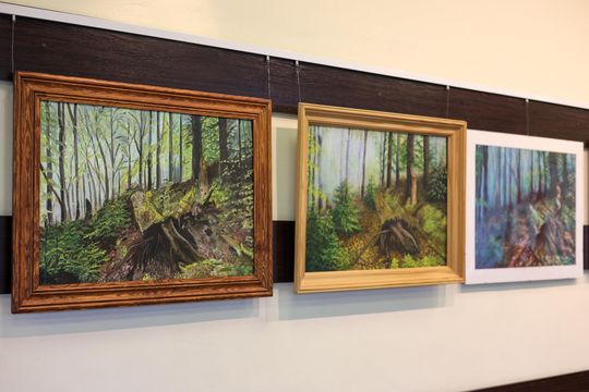 Plenerowe Reminiscencje – wystawa grupy artystycznej Alternatywa w Chełmskim Domu Kultury [GALERIA ZDJĘĆ]